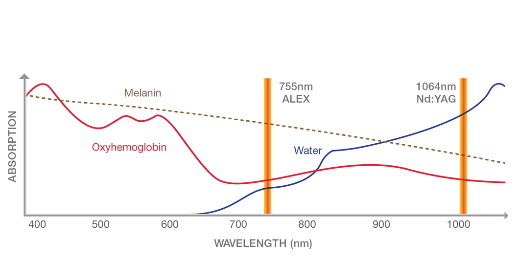 Absorbtia energiei