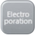 Electroporatie